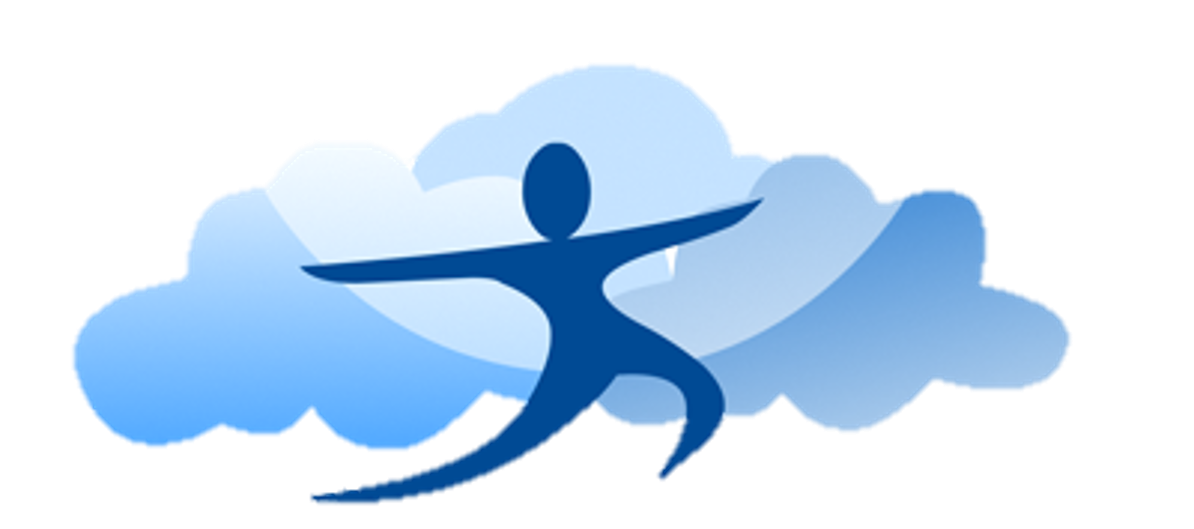 POM Business Credit